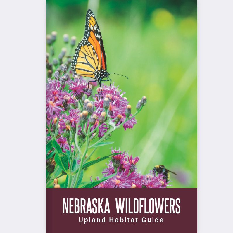 Nebraska Wildflowers field guide by Pheasants Forever celebrates prairie birthdays and pollinators